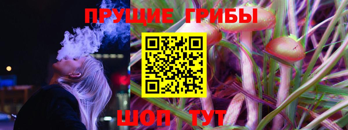Псилоцибиновые грибы Psilocybine cubensis  Галлюциногенные грибы MAGIC MUSHROOMS  Каменск-Шахтинский  Вход с VPN 